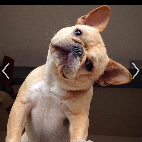 Meet your Posher, Kevin - Picture 1 of 1